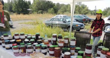 Mürəbbə festivalından - Fotolar